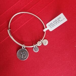 NWT Alex and Ani Silver Charm Bangle-My Mom, My Hero